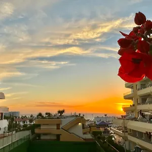 In Ocean Park, Costa Adeje, Tenerife Apartment